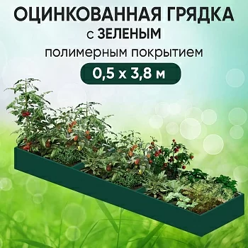 Грядка зеленая (0,5 х 3,8)